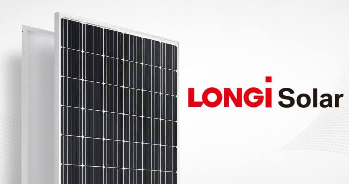 longi-solar-record